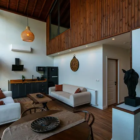 Villa Trio Palazio Sapanca