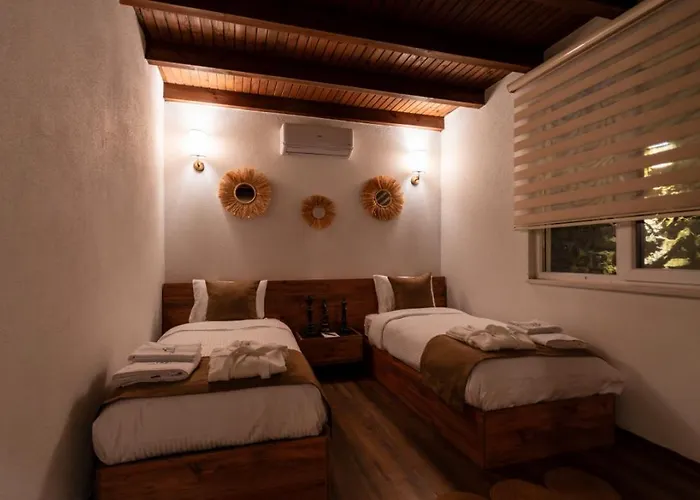 Trio Palazio Villa Sapanca